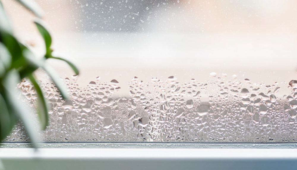 How Humidity In Your Home Affects The Temperature Change Energy Blog