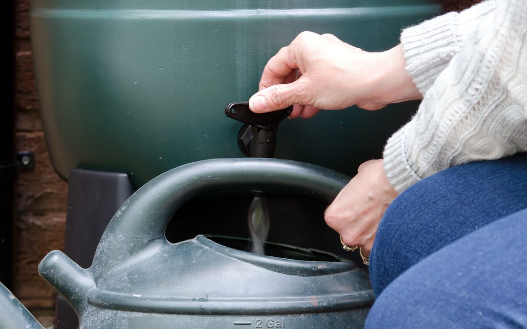 Conserve Energy Outdoors with a DIY Rain Barrel