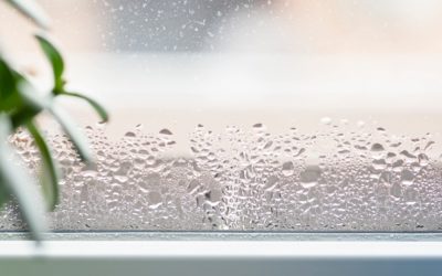 How Humidity in Your Home Affects the Temperature