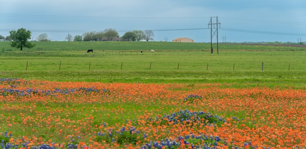 Electricity Myths Texans Still Believe (And the Truth Behind Them)